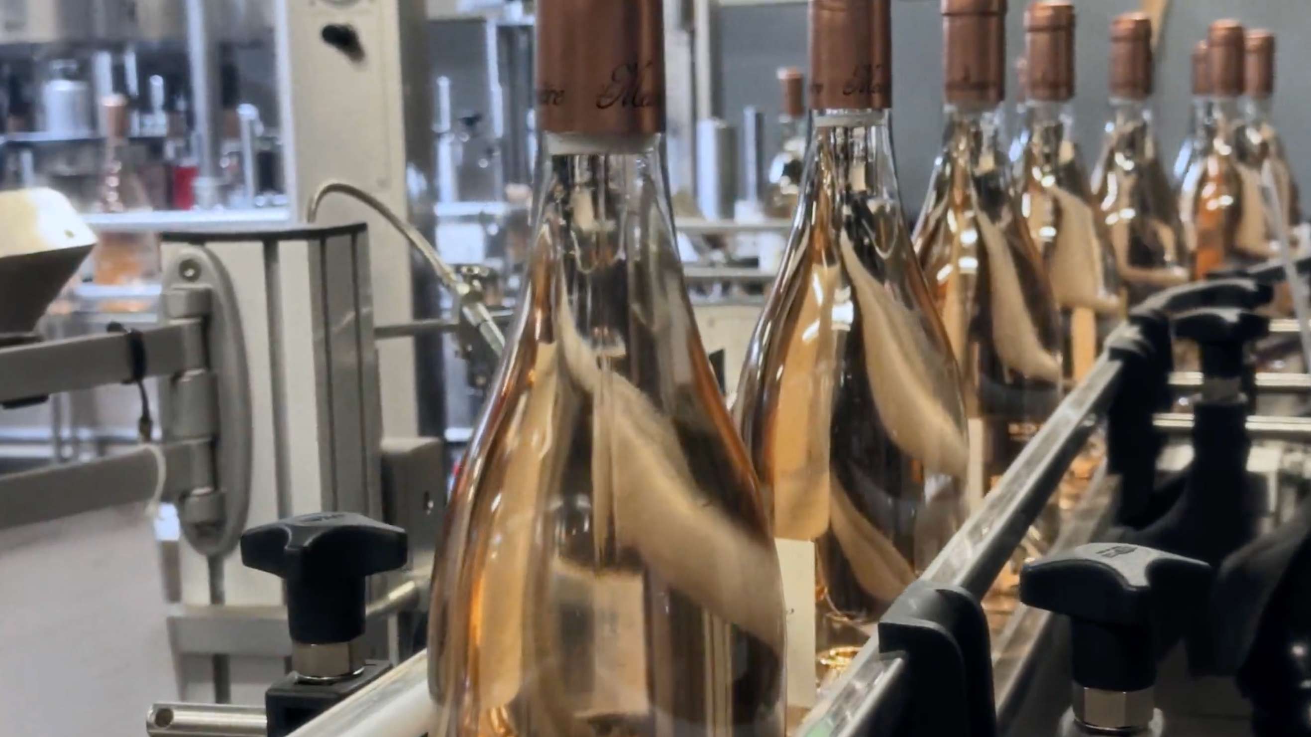 The First Vintage in 30 Years!