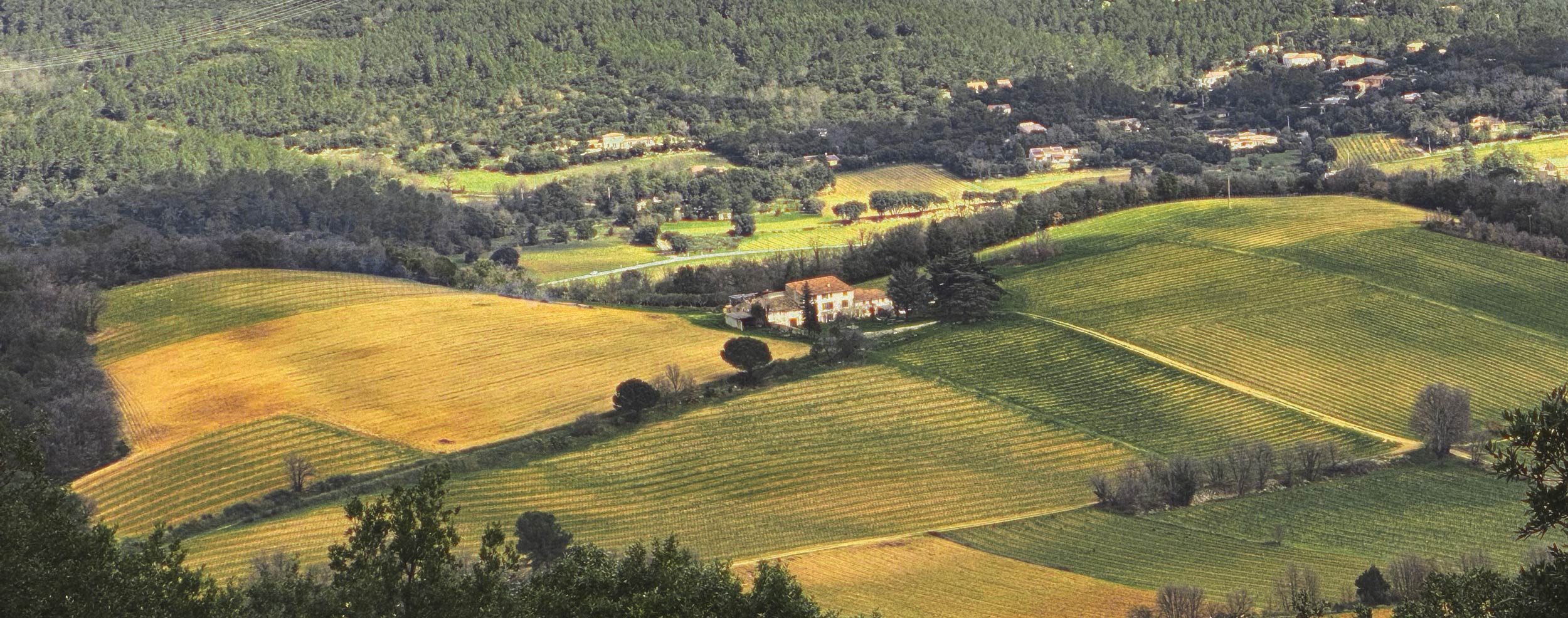 A New Chapter Begins at Domaine de la Meissonnière